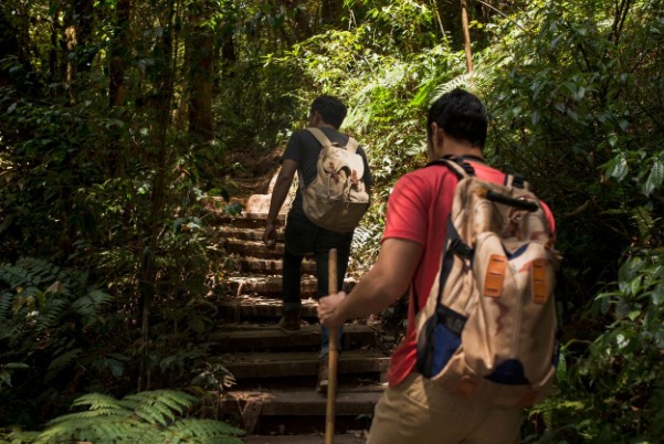 wisata alam Indonesia